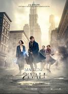 <b>Colleen Atwood</b><br>Magične živali (2016)<br><small><i>Fantastic Beasts and Where to Find Them</i></small>