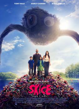 Skice