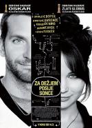 Za dežjem posije sonce (2012)<br><small><i>The Silver Linings Playbook</i></small>