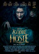 <b>Colleen Atwood</b><br>Zgodbe iz hoste (2014)<br><small><i>Into the Woods</i></small>