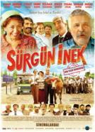 Sürgün Inek