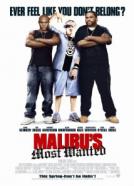 Malibu's Most Wanted
