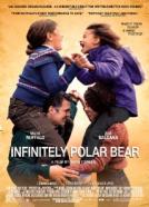 <b>Mark Ruffalo</b><br>Infinitely Polar Bear (2014)<br><small><i>Infinitely Polar Bear</i></small>