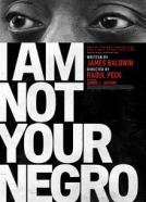 Nisem tvoj zamorec (2016)<br><small><i>I Am Not Your Negro</i></small>