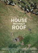 Haus Ohne Dach