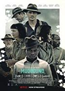 <b>Rachel Morrison</b><br>Mudbound (2017)<br><small><i>Mudbound</i></small>