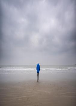 Ocean with David Attenborough (2025)<br><small><i>Ocean with David Attenborough</i></small>