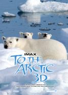 To the Arctic 3D