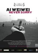 Ai WeiWei: Brez obžalovanja