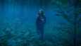Izsek iz filma - Gozd groze