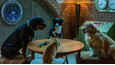 Izsek iz filma - Cats & Dogs 3: Paws Unite