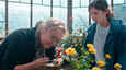 Izsek iz filma - Vonj po rožah