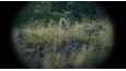 Izsek iz filma - Nebelkind - The End of Silence