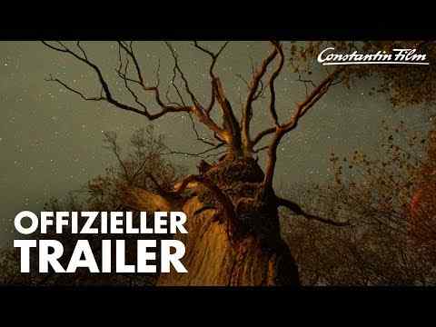 Das geheime Leben der Bäume - trailer 1