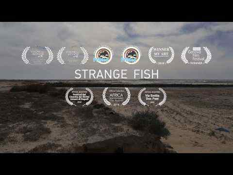 Strange FIsh - trailer 1