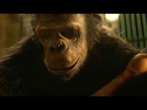 Godina majmuna - trailer 1