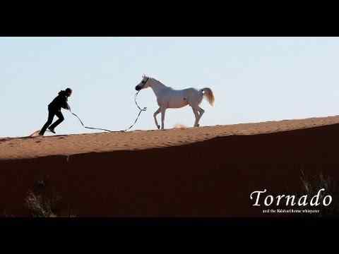 Tornado and the Kalahari Horse Whisperer - trailer