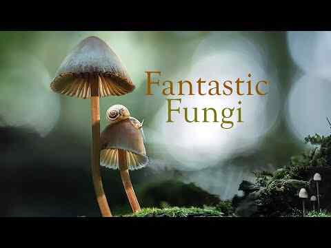 Fantastic Fungi - trailer