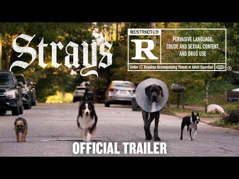 Strays - trailer 1