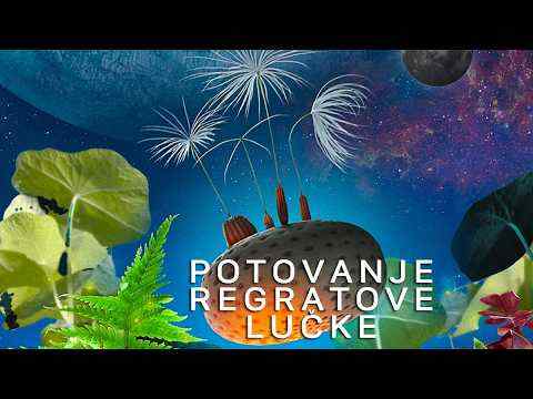 Potovanje regratove lučke - napovednik 1