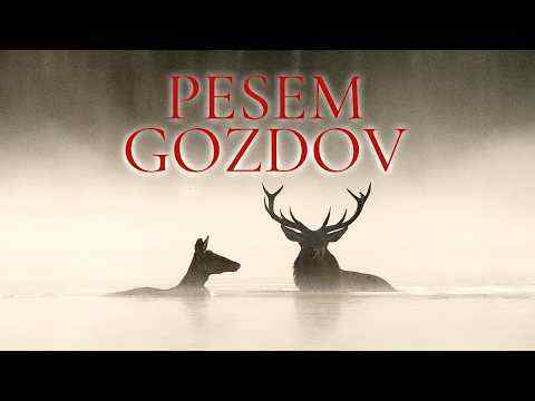 Pesem gozdov - napovednik 1