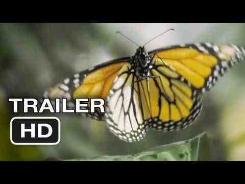Flight of the Butterflies - trailer