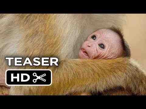 Monkey Kingdom - teaser trailer 1