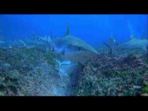OceanWorld 3D - trailer